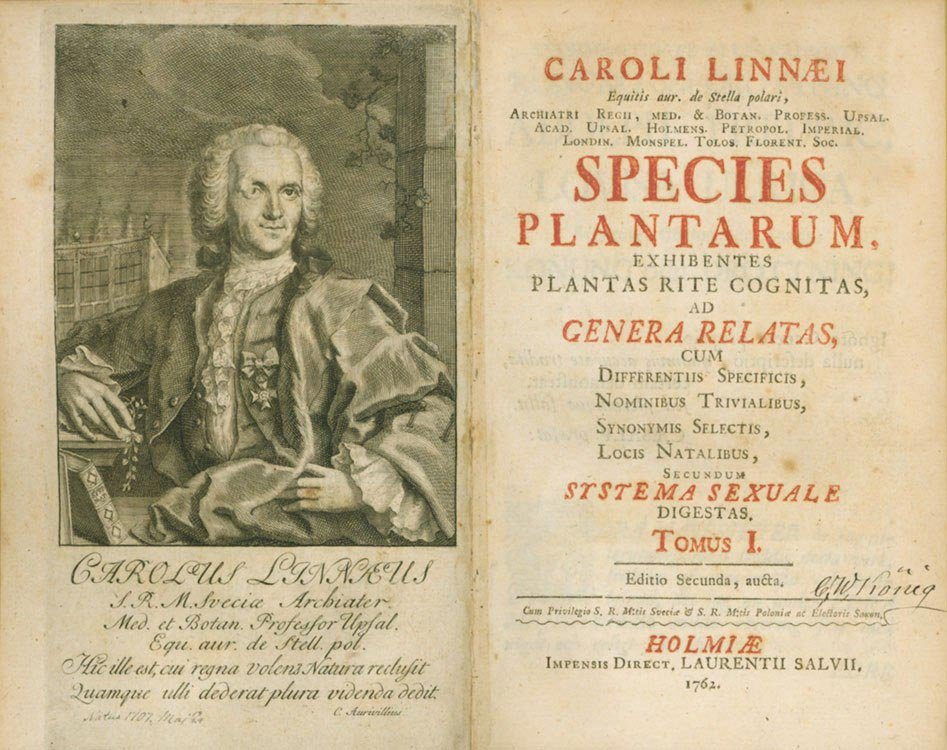 Linneo, padre de la botánica moderna • La Aventura de la Historia