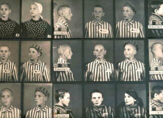 Los documentos del Holocausto reflejan que el Gobierno polaco en el exilio proporcionó detalles a la UNWCC sobre los campos de concentración de Treblinka y Auschwitz, donde fueron fotografiados estos niños judíos.